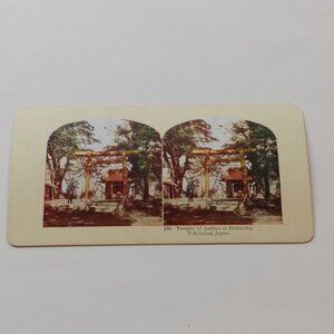 VINTAGE STEREOGRAPH CARD JAPAN Double Sided Pond of Egyptian Lotus Juniten Templ